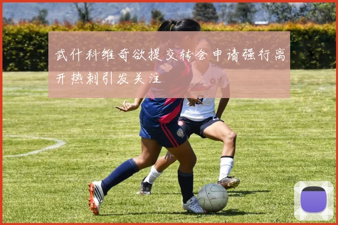 武什科维奇欲提交转会申请强行离开热刺引发关注